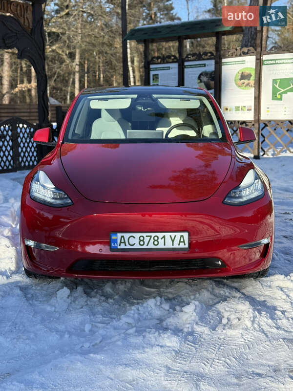 Позашляховик / Кросовер Tesla Model Y 2021 в Луцьку