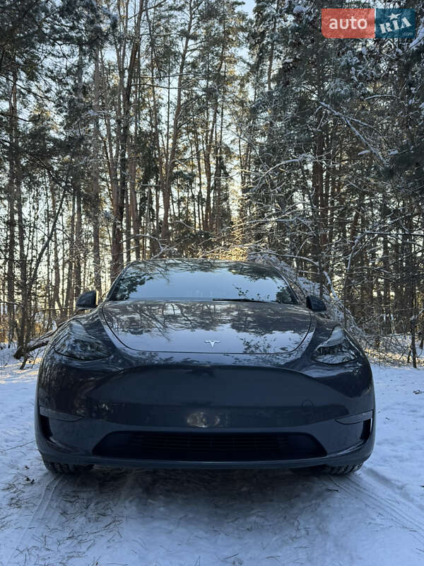 Внедорожник / Кроссовер Tesla Model Y 2023 в Василькове
