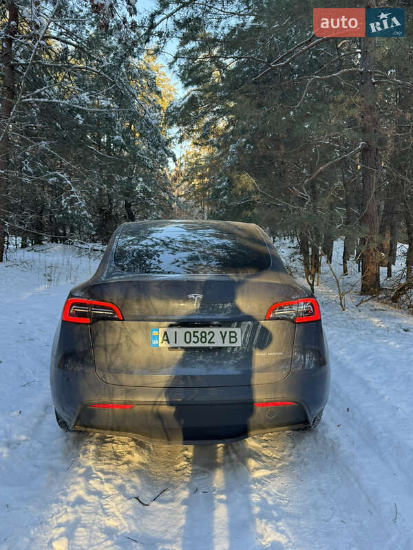 Внедорожник / Кроссовер Tesla Model Y 2023 в Василькове