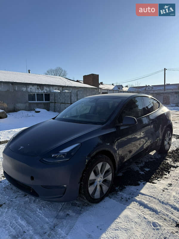 Внедорожник / Кроссовер Tesla Model Y 2023 в Луцке