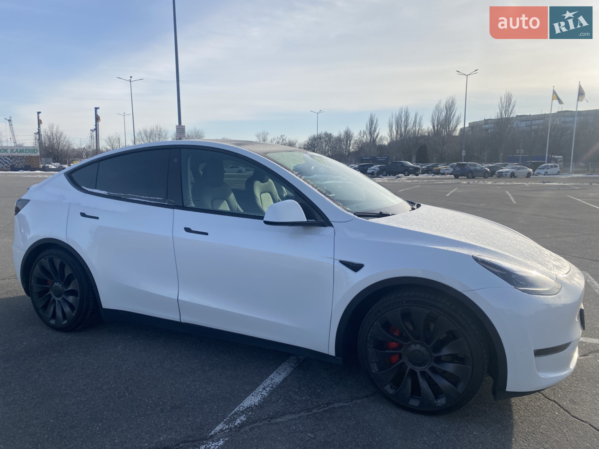 2023 Tesla Model Y - мініатюра 6