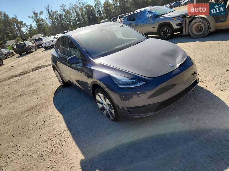 Внедорожник / Кроссовер Tesla Model Y 2023 в Киеве