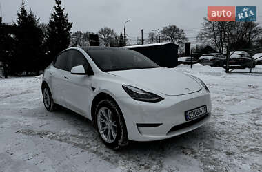 Позашляховик / Кросовер Tesla Model Y 2021 в Чернігові
