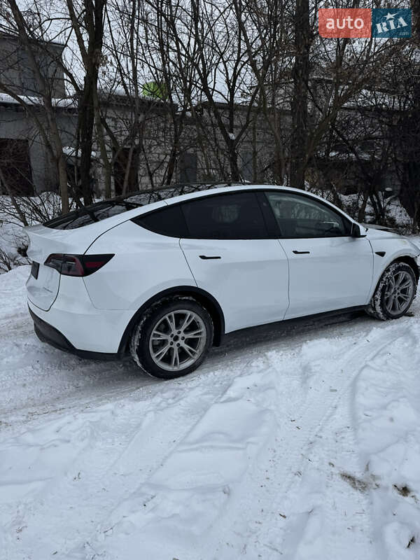 Позашляховик / Кросовер Tesla Model Y 2023 в Ірпені