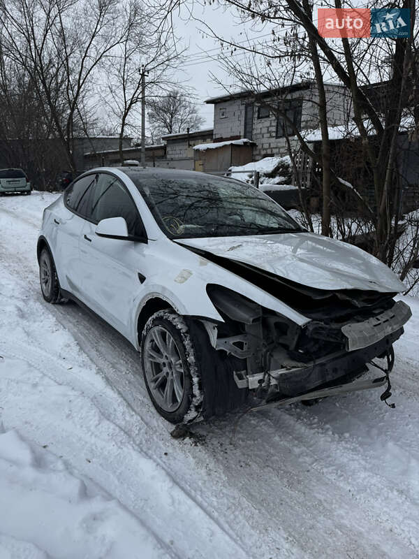 Позашляховик / Кросовер Tesla Model Y 2023 в Ірпені