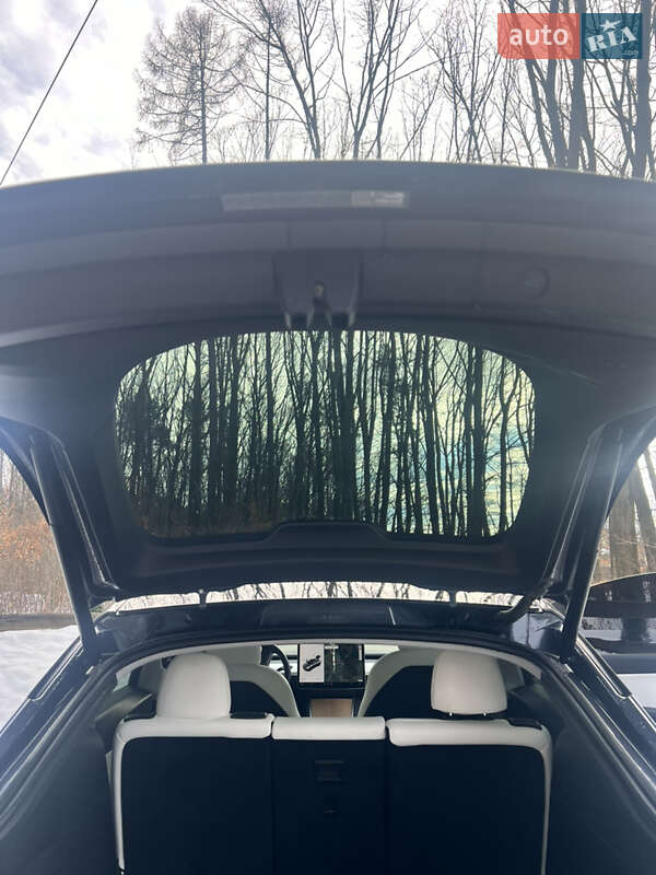 Позашляховик / Кросовер Tesla Model Y 2020 в Львові