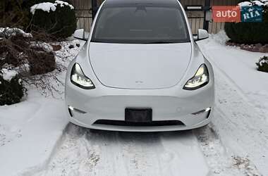 Позашляховик / Кросовер Tesla Model Y 2023 в Києві