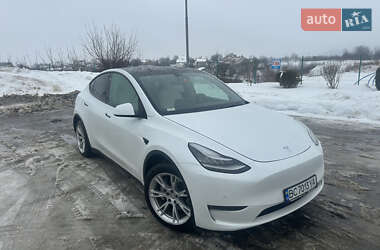 Позашляховик / Кросовер Tesla Model Y 2020 в Львові
