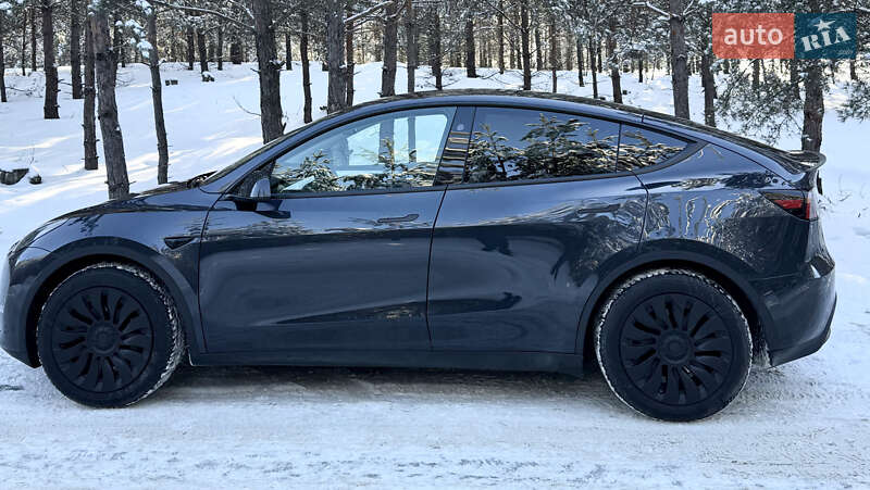 Внедорожник / Кроссовер Tesla Model Y 2024 в Броварах