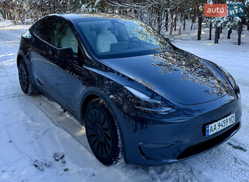 Внедорожник / Кроссовер Tesla Model Y 2024 в Броварах