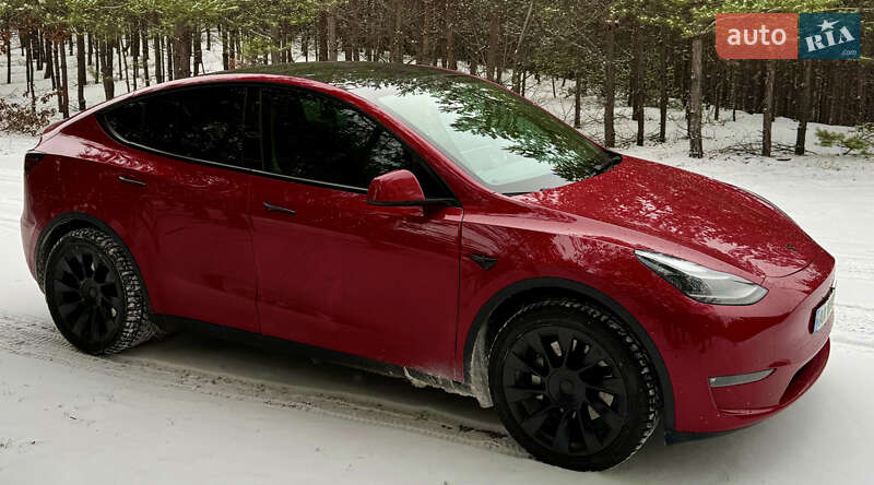 Внедорожник / Кроссовер Tesla Model Y 2023 в Броварах