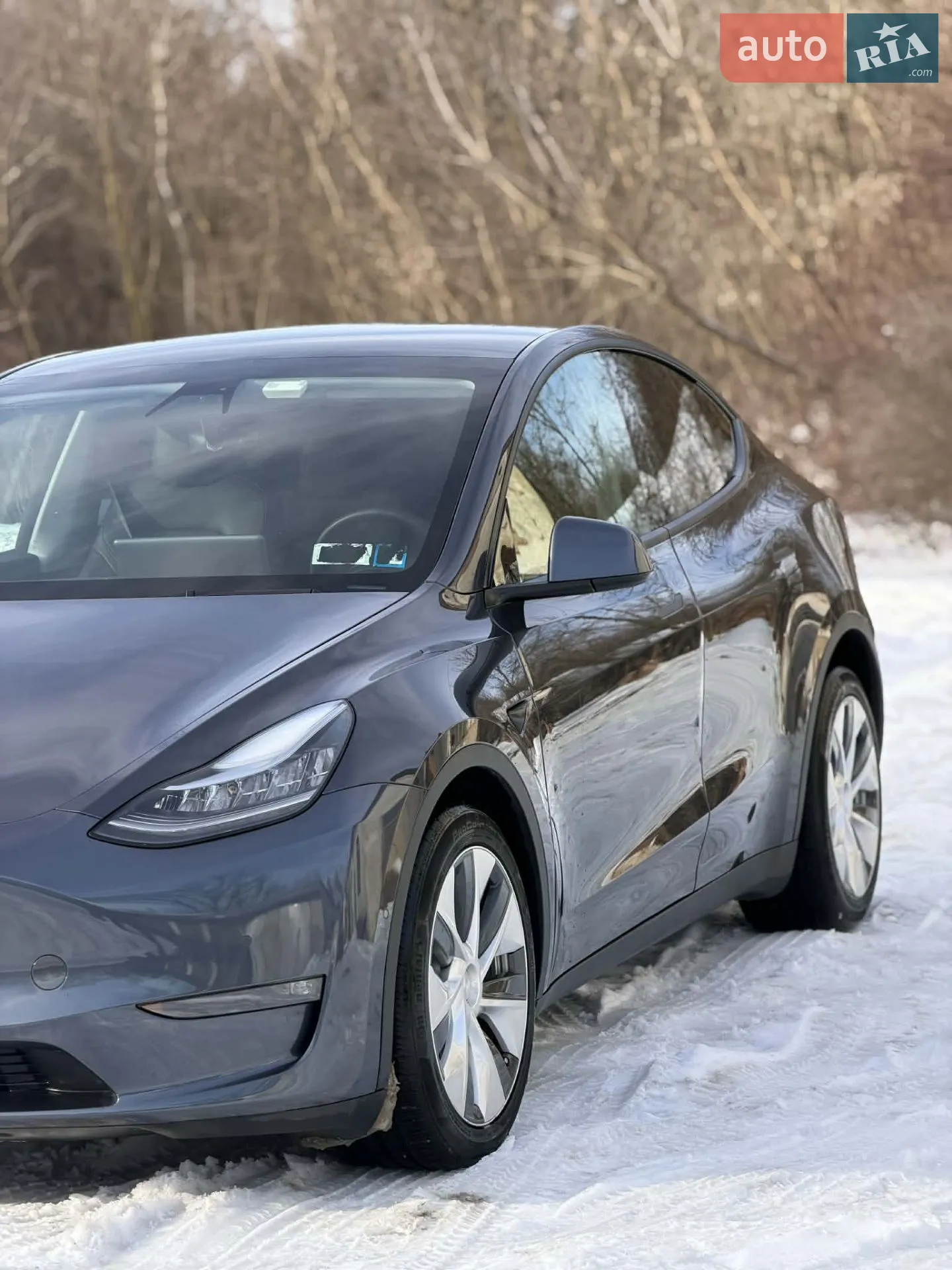 2021 Tesla Model Y - мініатюра 2