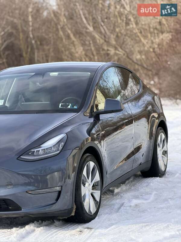 Внедорожник / Кроссовер Tesla Model Y 2021 в Борщеве фото 2 Внедорожник / Кроссовер Tesla Model Y 2021 в Борщеве