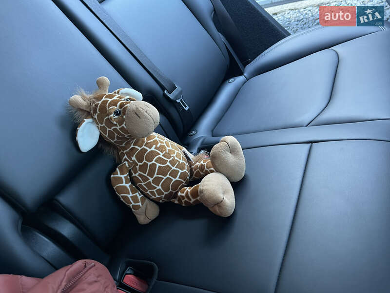 Позашляховик / Кросовер Tesla Model Y 2023 в Львові фото 36 Позашляховик / Кросовер Tesla Model Y 2023 в Львові