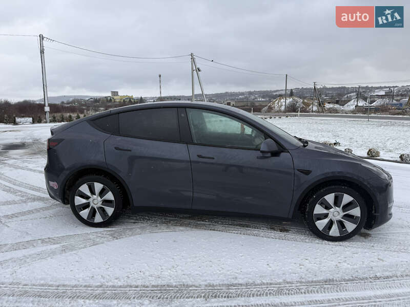 Позашляховик / Кросовер Tesla Model Y 2021 в Золочеві