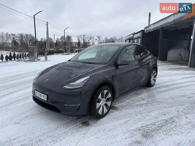 Позашляховик / Кросовер Tesla Model Y 2021 в Золочеві