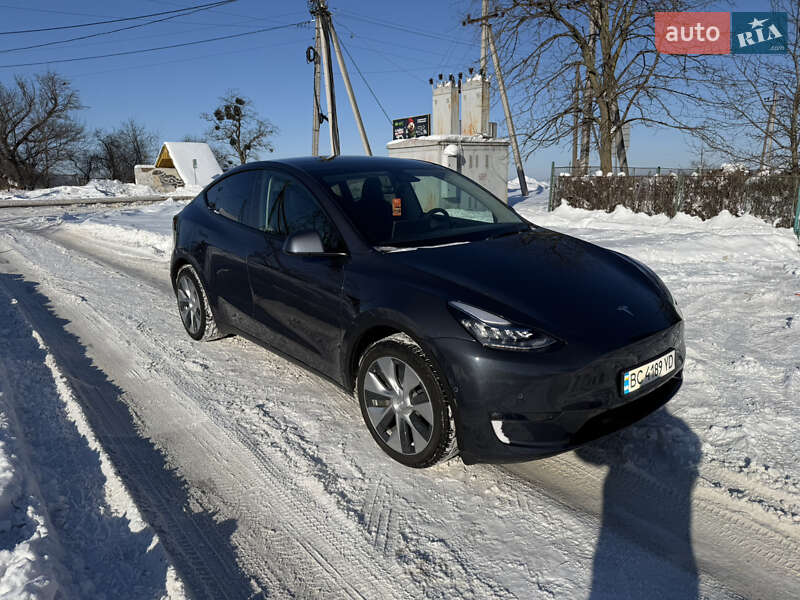 Позашляховик / Кросовер Tesla Model Y 2021 в Золочеві