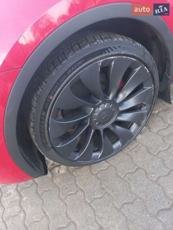 Позашляховик / Кросовер Tesla Model Y 2022 в Яворові