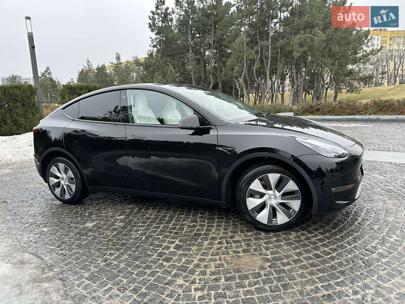 Внедорожник / Кроссовер Tesla Model Y 2022 в Днепре