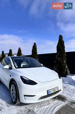 Позашляховик / Кросовер Tesla Model Y 2023 в Тернополі