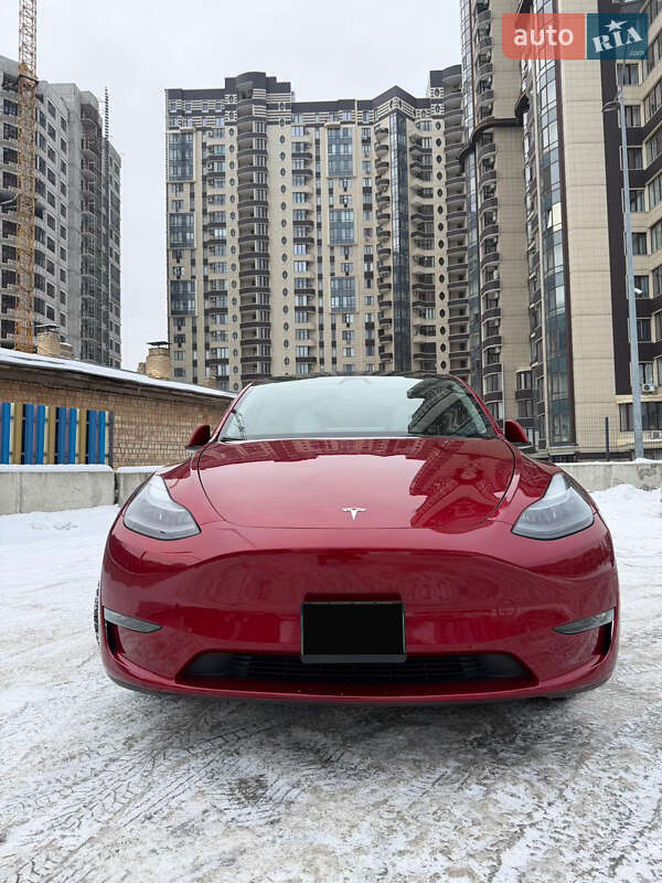 Позашляховик / Кросовер Tesla Model Y 2024 в Києві