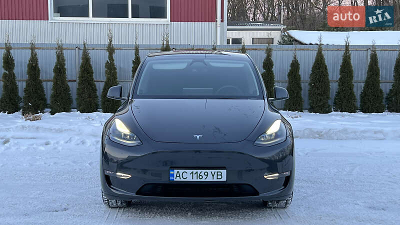 2024 Tesla Model Y, VIN 7SAYGDED9SF229124:plate — фото 1 (autoria)