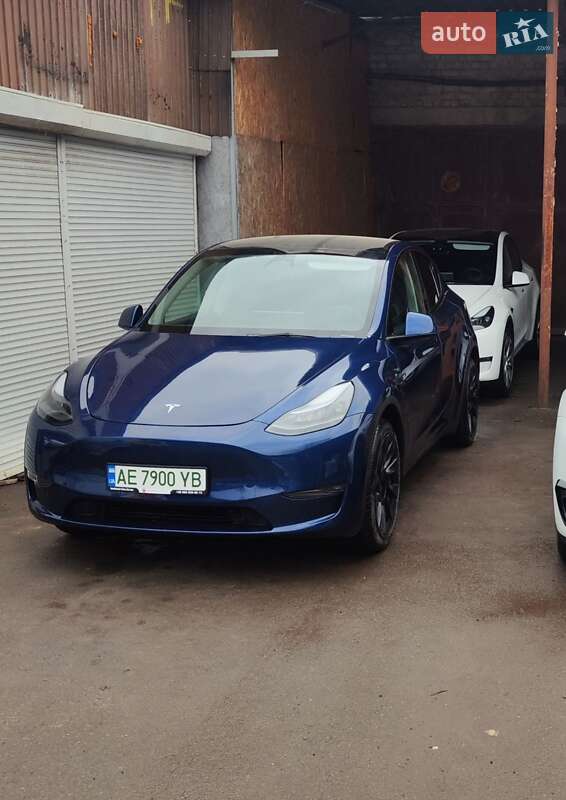 Внедорожник / Кроссовер Tesla Model Y 2022 в Кривом Роге