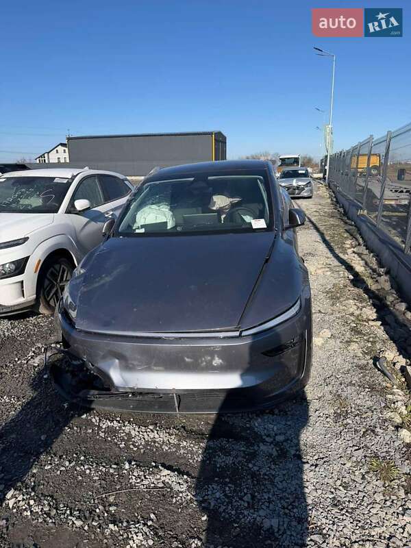 Позашляховик / Кросовер Tesla Model Y 2025 в Львові фото Позашляховик / Кросовер Tesla Model Y 2025 в Львові