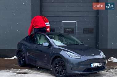 Позашляховик / Кросовер Tesla Model Y 2023 в Києві