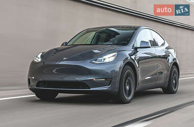 Позашляховик / Кросовер Tesla Model Y 2024 в Києві