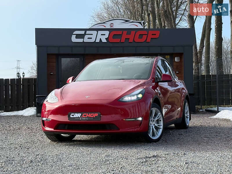 Позашляховик / Кросовер Tesla Model Y 2023 в Стрию