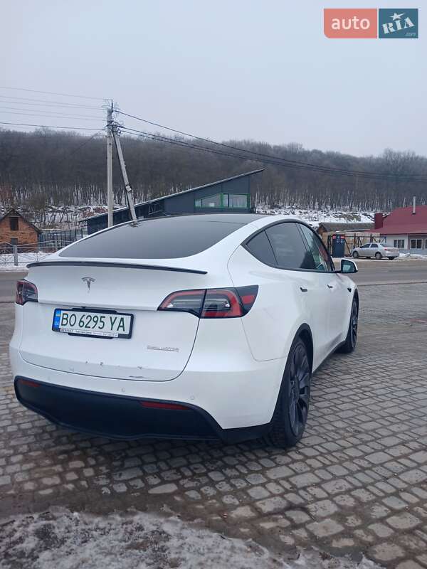 Позашляховик / Кросовер Tesla Model Y 2021 в Теребовлі