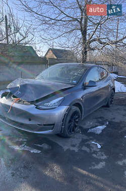Внедорожник / Кроссовер Tesla Model Y 2023 в Ровно