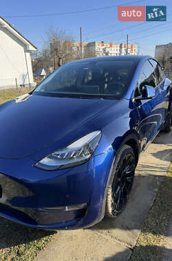 Внедорожник / Кроссовер Tesla Model Y 2021 в Моршине