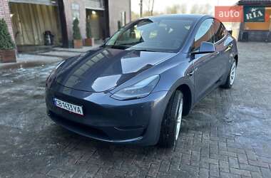 Внедорожник / Кроссовер Tesla Model Y 2023 в Чернигове
