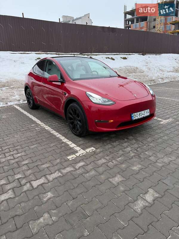 Внедорожник / Кроссовер Tesla Model Y 2021 в Тернополе