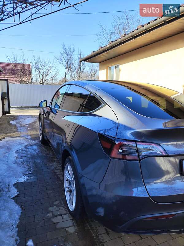Внедорожник / Кроссовер Tesla Model Y 2023 в Борисполе