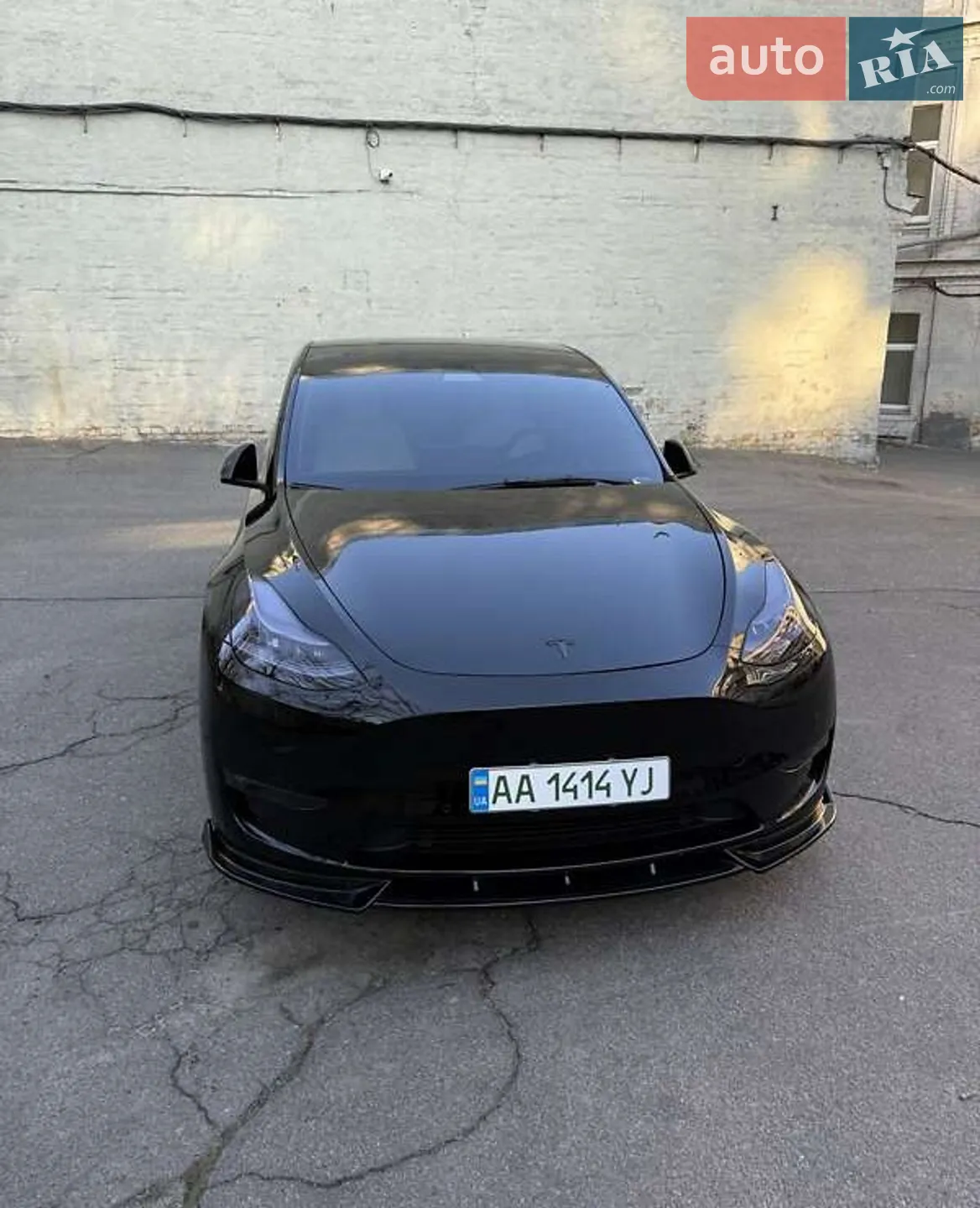 2021 Tesla Model Y - фото 1