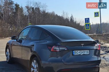 Позашляховик / Кросовер Tesla Model Y 2021 в Тернополі