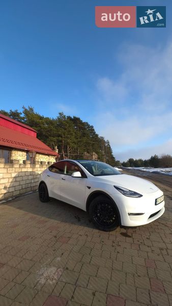 Внедорожник / Кроссовер Tesla Model Y 2020 в Золочеве
