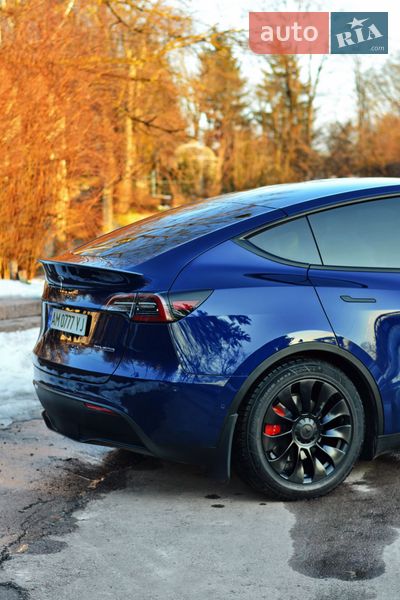 Позашляховик / Кросовер Tesla Model Y 2022 в Житомирі