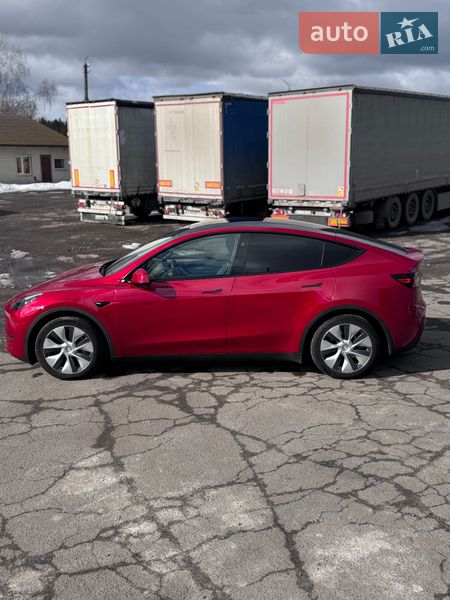 Позашляховик / Кросовер Tesla Model Y 2023 в Києві
