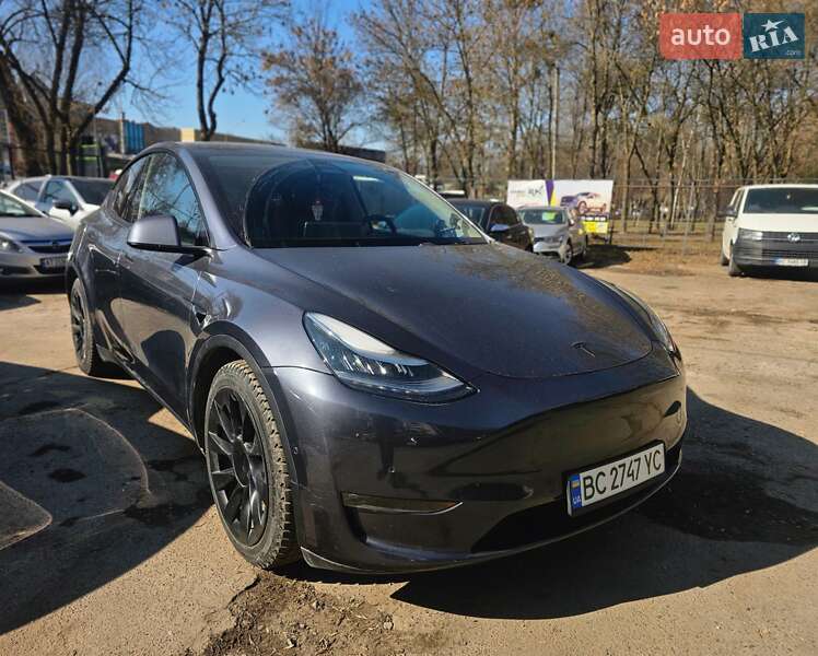 Внедорожник / Кроссовер Tesla Model Y 2020 в Львове