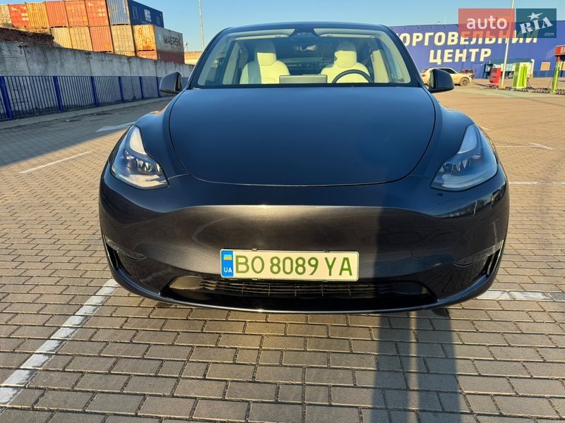 Позашляховик / Кросовер Tesla Model Y 2024 в Тернополі