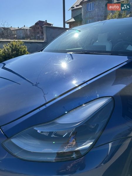 Позашляховик / Кросовер Tesla Model Y 2021 в Львові