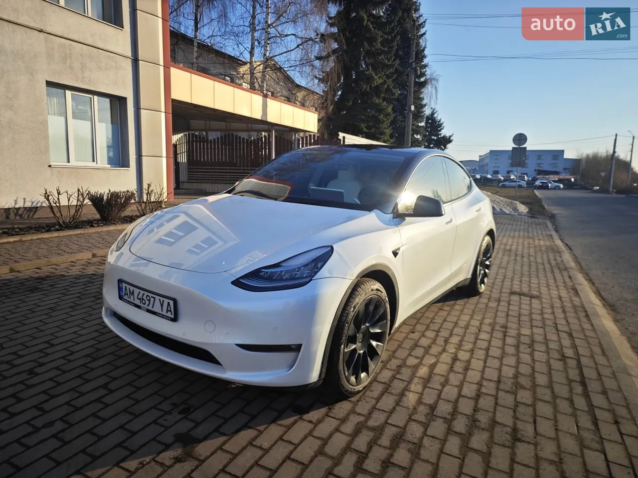 2023 Tesla Model Y - мініатюра 95