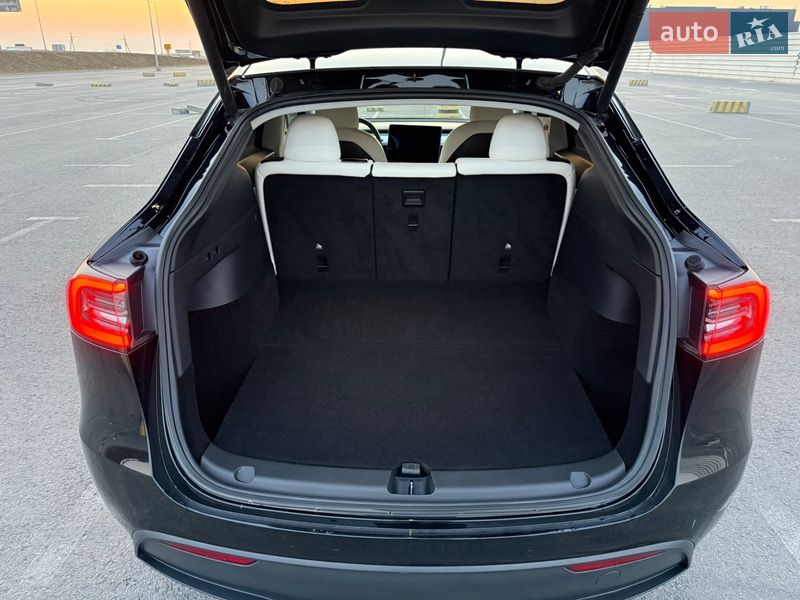 Позашляховик / Кросовер Tesla Model Y 2020 в Львові