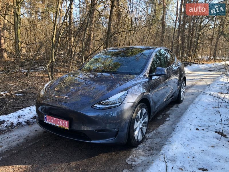 2022 Tesla Model Y, VIN 7SAYGDEE6NF346754:plate — фото 1 (autoria)