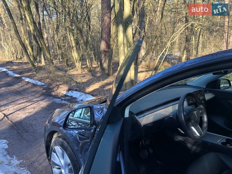 Внедорожник / Кроссовер Tesla Model Y 2022 в Житомире