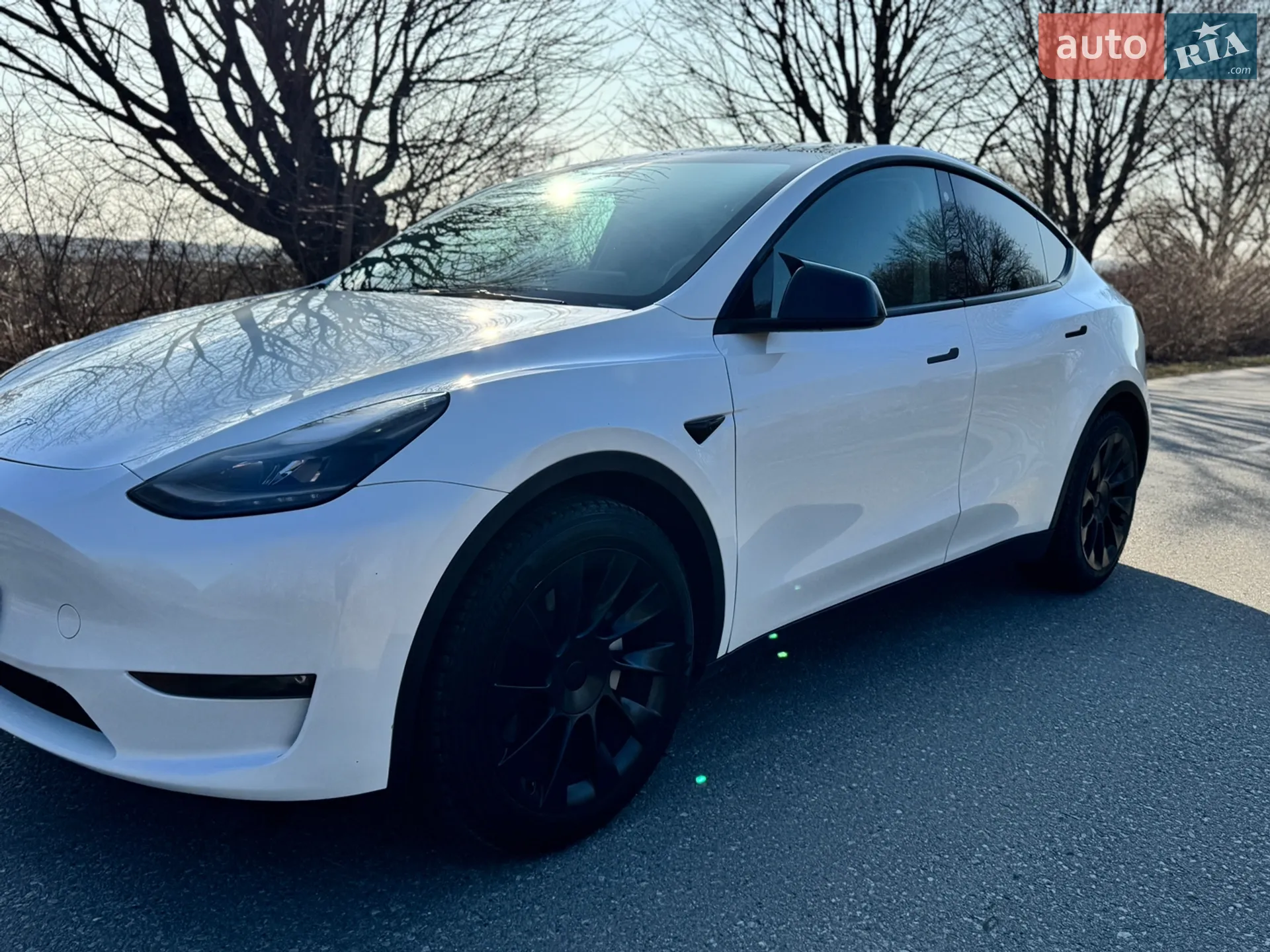 2023 Tesla Model Y - мініатюра 2
